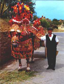 Il carretto siciliano ad Agrigento