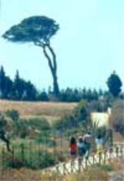 Visite guidate del Kaos ad Agrigento