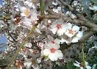 Museo Pietro Griffo Agrigento