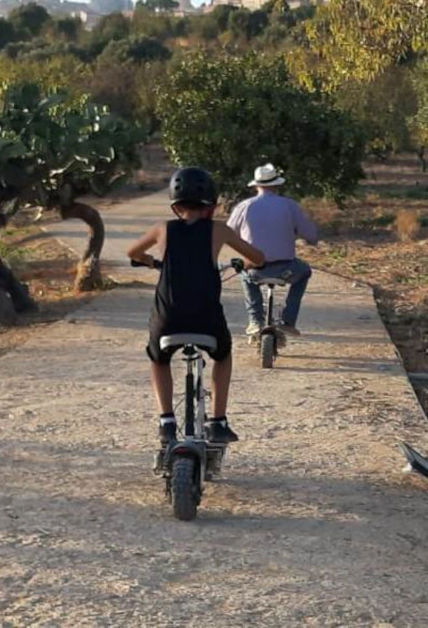 Visite guidée en trottinette du Parc archéologique de la Vallée des Temples